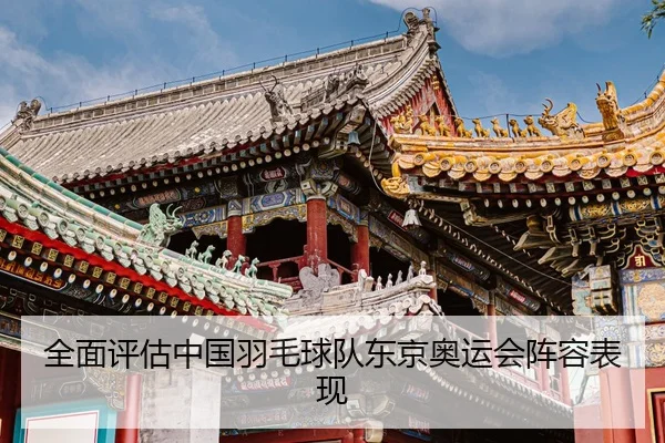 全面评估中国羽毛球队东京奥运会阵容表现